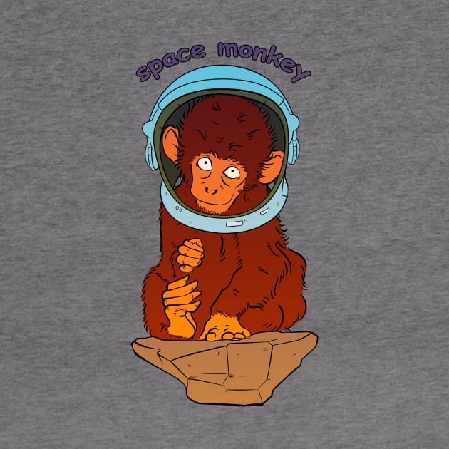 Space monkey by vanpaul54